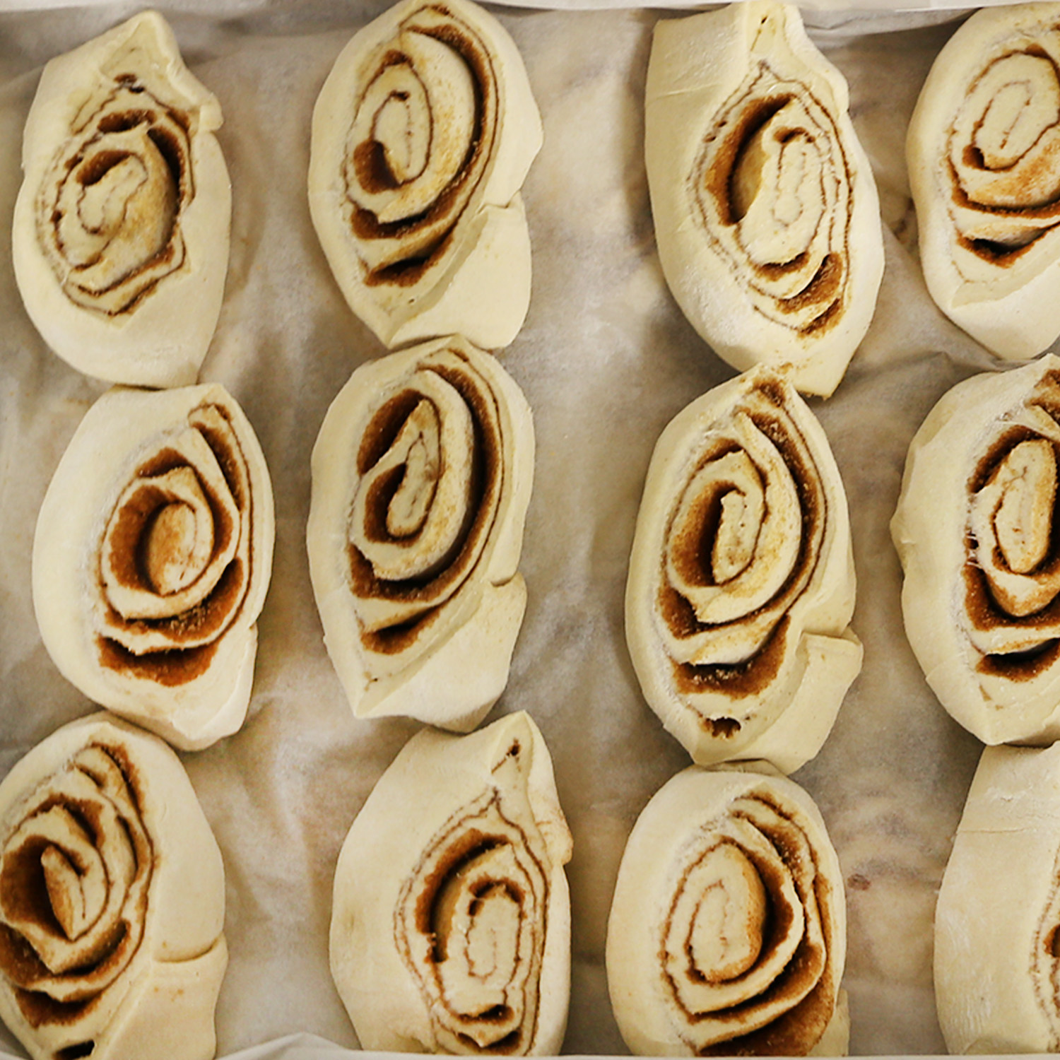 FZ Cinnamon Roll - Individual Pucks 3.5 oz | Walnut Creek Foods