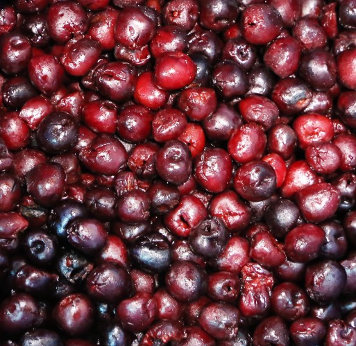 FZ Fruit - Dark Sweet Cherries IQF Bulk | Walnut Creek Foods