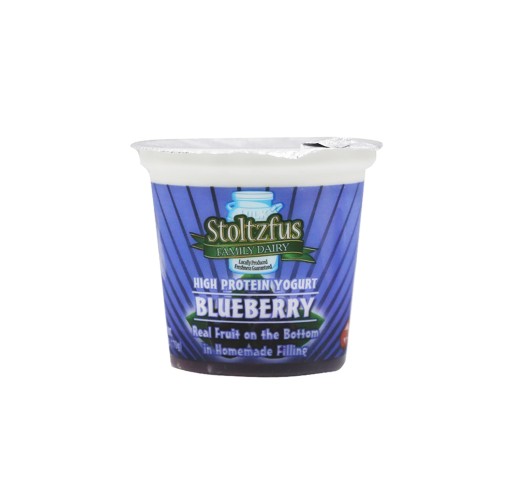Yogurt - Blueberry Stoltzfus 6 oz
