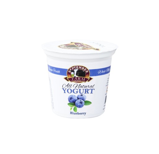 Yogurt - Blueberry Sept. Farm 6 oz