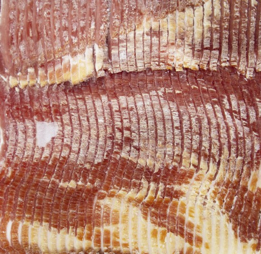 FZ Bacon - Applewood (10-14) Platter KL 15 lb