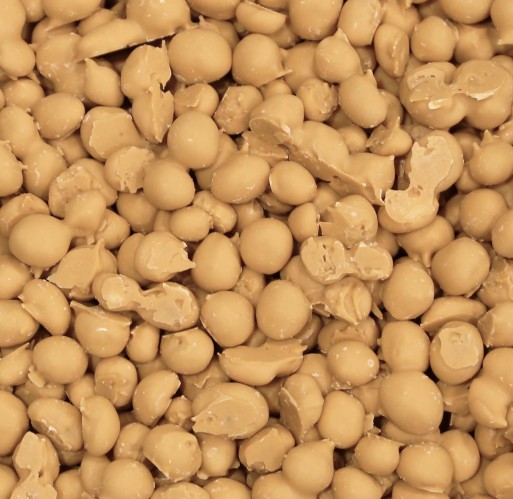 Maple Nut - Double Dipped Peanuts