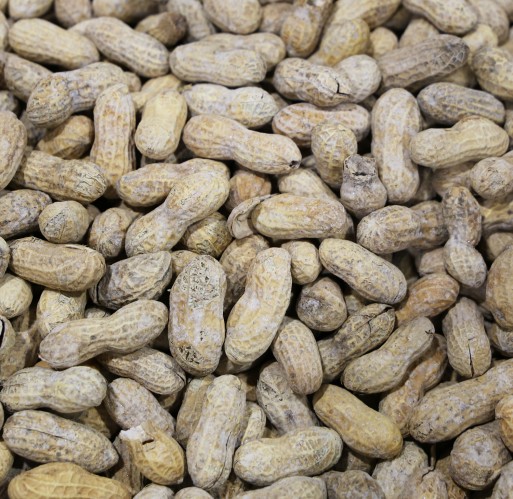 Peanuts - Roasted & Salted  In-Shell  25 lb