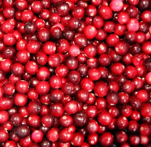 FZ Fruit - Cranberries IQF WV 25 lb