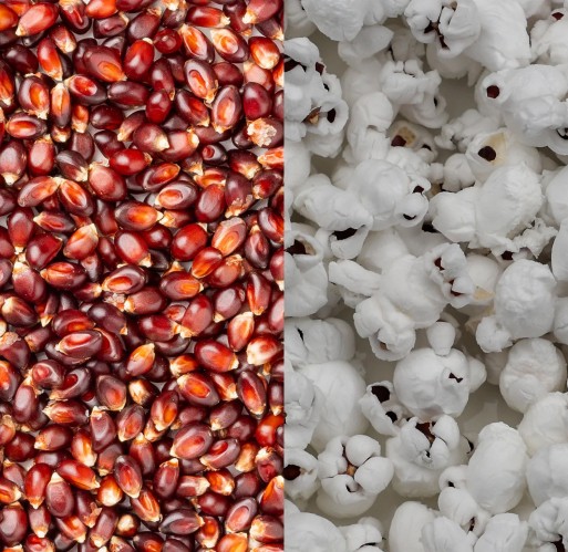 Popcorn - Red 50 lb (Fewer Hulls)