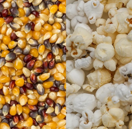 Popcorn - Rainbow 50 lb