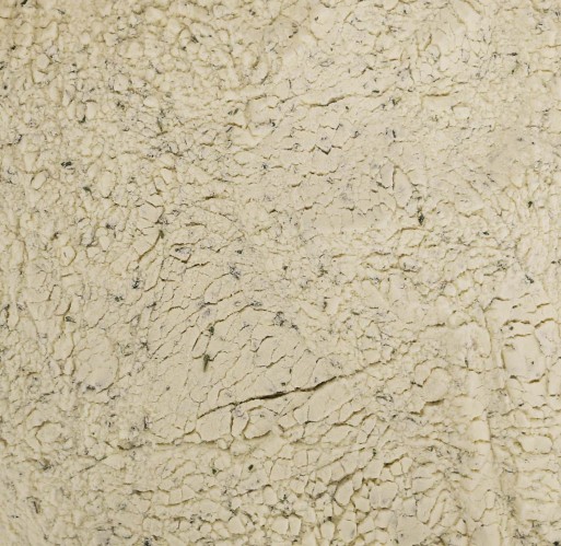 Seasoning - Sour Cream & Onion 10 lb