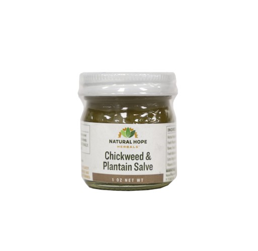 Herbal Salve - Chickweed & Plantain 1 oz