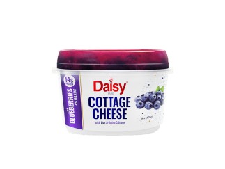 Daisy | Walnut Creek Foods