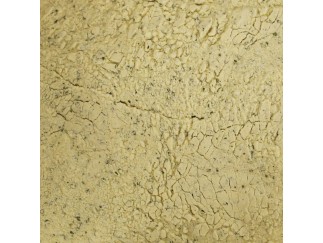Seasoning - Ranch Powder 10 lb