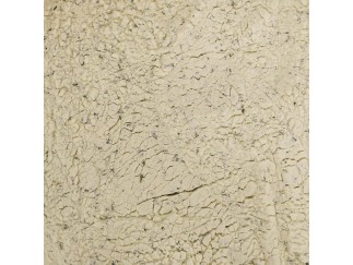 Seasoning - Sour Cream & Onion 10 lb