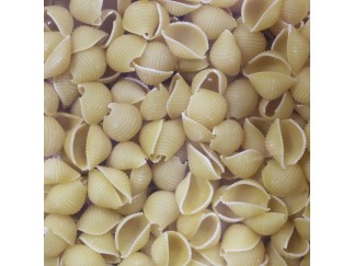 Pasta - Shells Medium Zerega