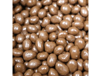 Chocolate - Raisins Hayden Valley