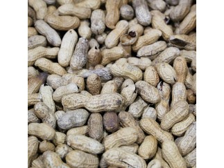 Peanuts - In-Shell Roasted & No Salt 25 lb