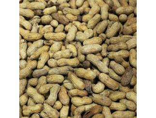 Peanuts - Cajun In-Shell