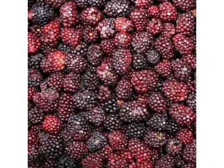 FZ Fruit - Blackberries IQF WV 30 lb