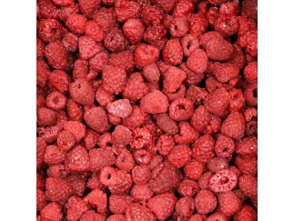 FZ Fruit - Red Raspberries IQF Bulk