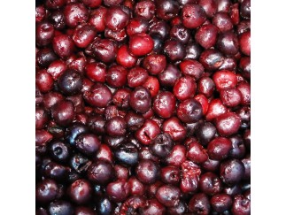 FZ Fruit - Dark Sweet Cherries IQF Bulk