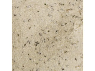 Seasoning - Sour Cream & Onion Powder