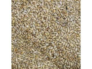 Sunflower Kernels - Roasted & Salted