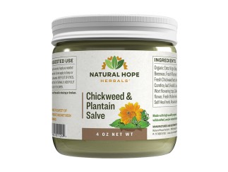 Herbal Salve - Chickweed & Plantain 4 oz